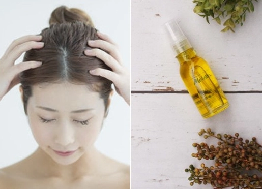 荷荷芭油護髮方法