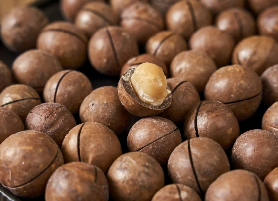 夏威夷豆健康影響 夏威夷豆健康影響