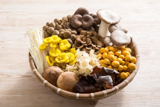 菇類飲食禁忌