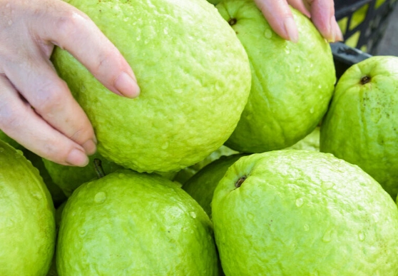 芭樂碳水化合物