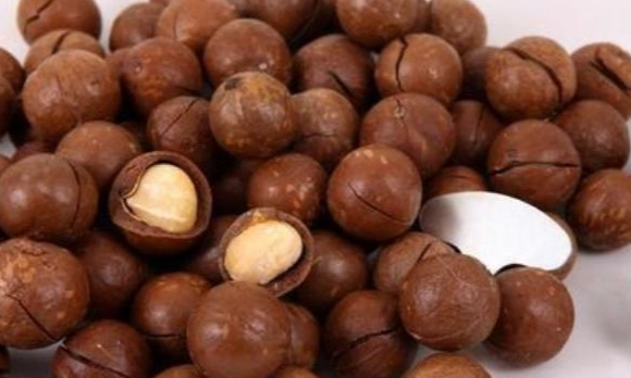 夏威夷果仁好處