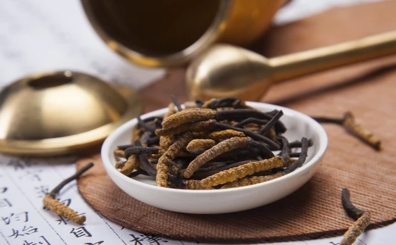 冬蟲夏草安全使用 冬蟲夏草安全使用