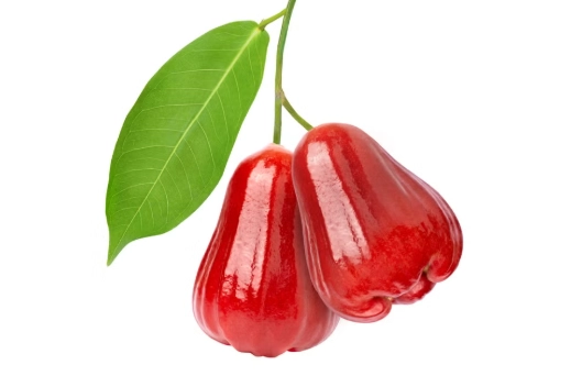 蓮霧食用禁忌 蓮霧食用禁忌