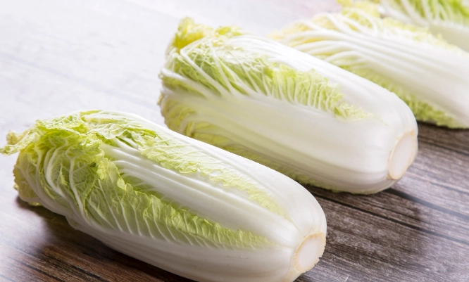 娃娃菜食譜 娃娃菜食譜