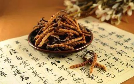 虫草食用方法 虫草食用方法