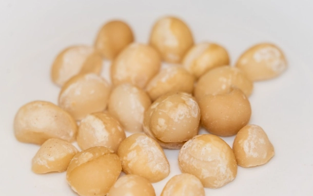 夏威夷果仁營養