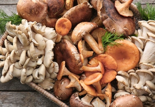 吃菇類壞處 吃菇類壞處