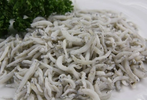 吻仔魚健康功效