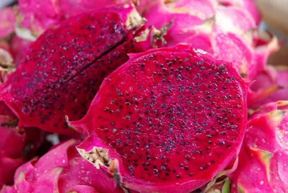 疫情 火龍果 禁忌