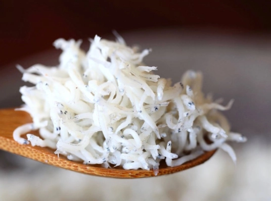 吻仔魚安全 吻仔魚安全