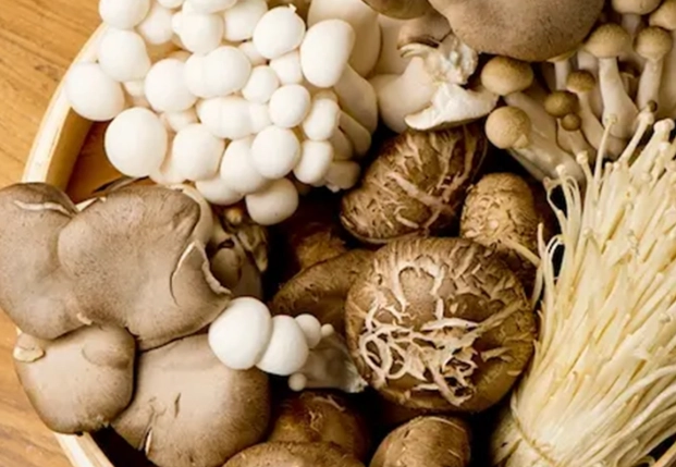菇類過敏反應 菇類過敏反應
