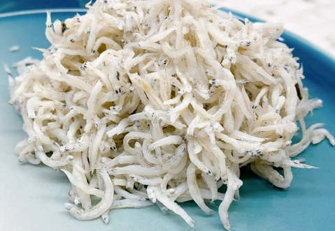 吻仔魚營養 吻仔魚營養