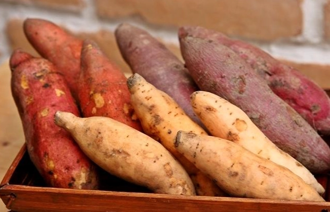 紅地瓜健康益處