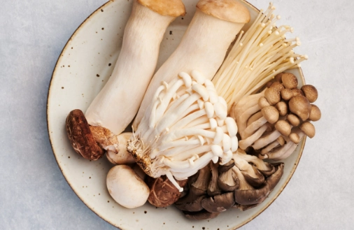 秀珍菇副作用 秀珍菇副作用