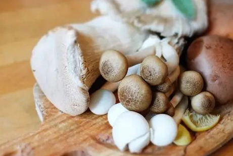 素食蛋白質來源