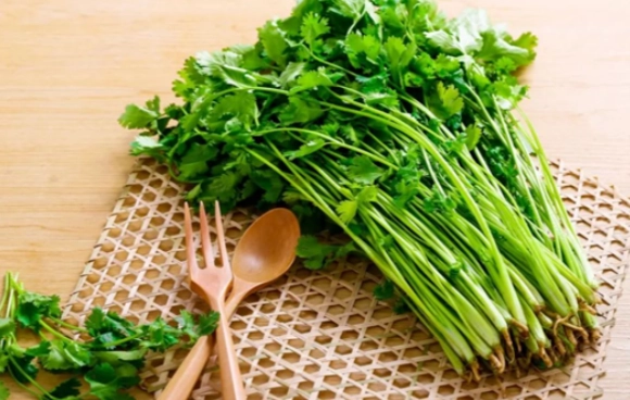 香菜副作用