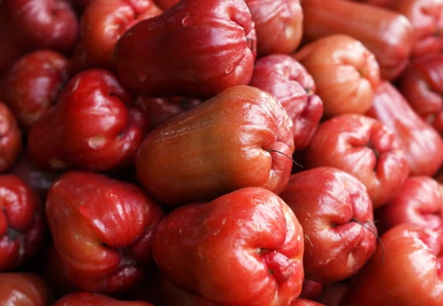 蓮霧料理 蓮霧料理