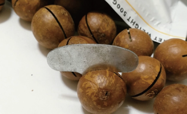 夏威夷豆營養 夏威夷豆營養