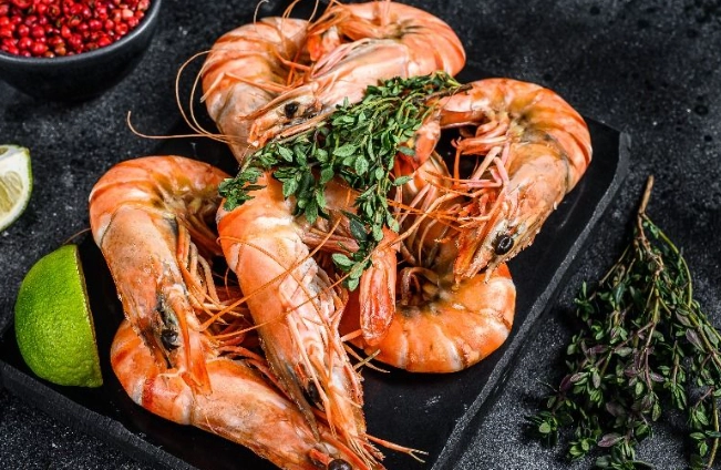 蝦子營養 蝦子營養