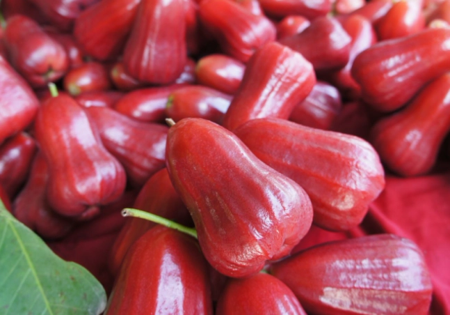 蓮霧怎麼吃 蓮霧怎麼吃