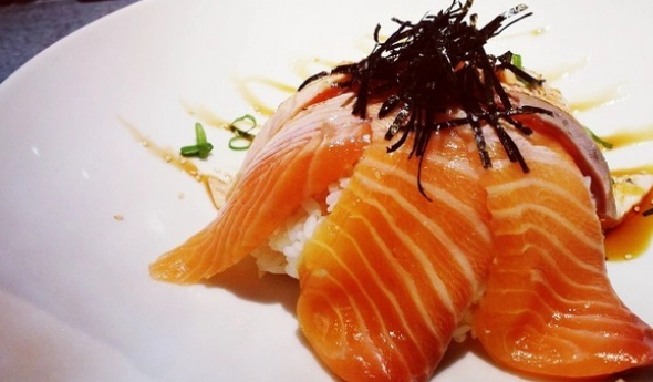 鮭魚吃太多會怎樣