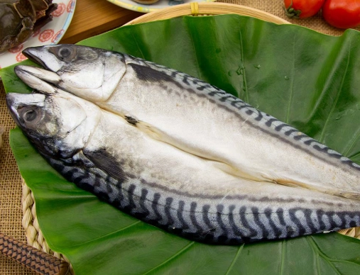 鯖魚營養價值