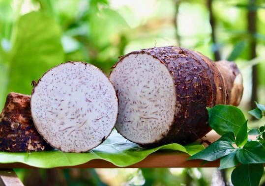 芋頭食用風險