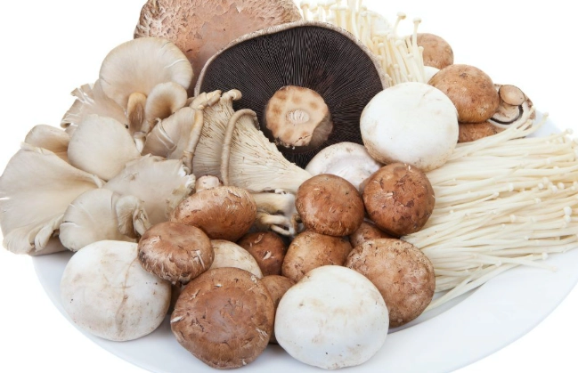 蘑菇營養價值