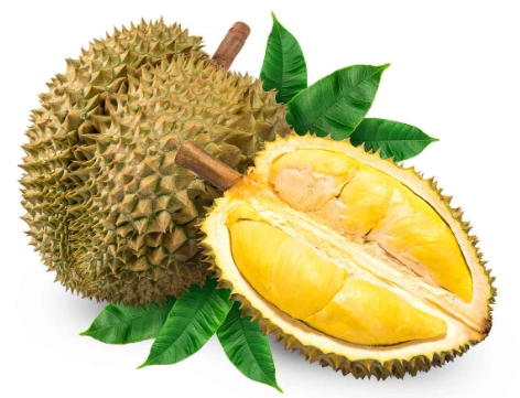 榴蓮副作用