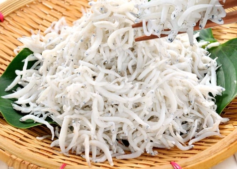 吻仔魚營養價值 吻仔魚營養價值