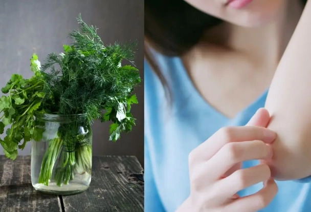 芫茜水注意事項 芫茜水注意事項