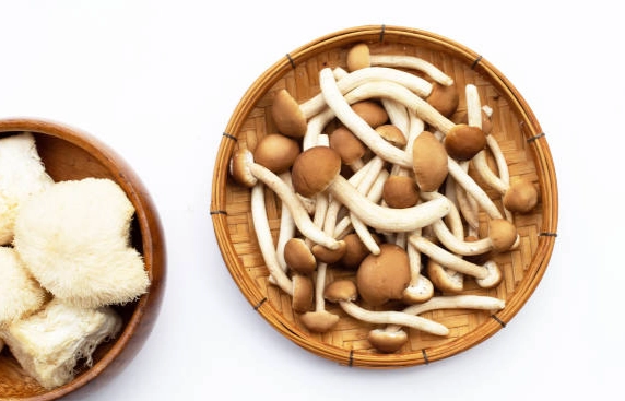 菇類蛋白質含量