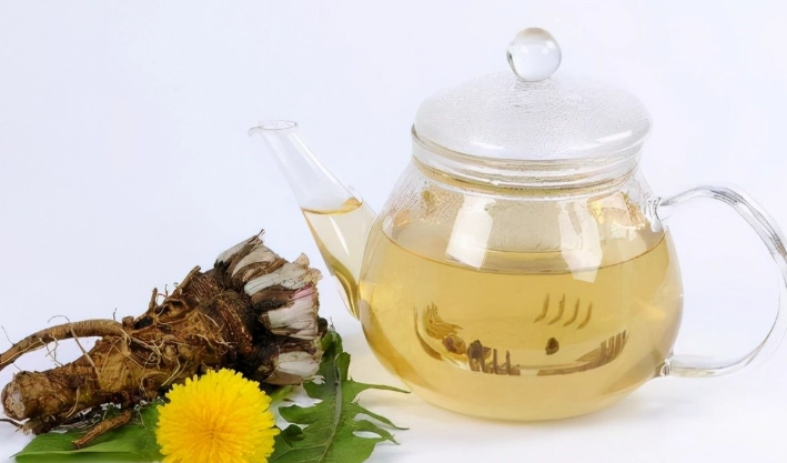 蒲公英茶饮用量