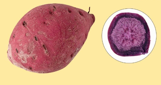 紫番薯好處 紫番薯好處