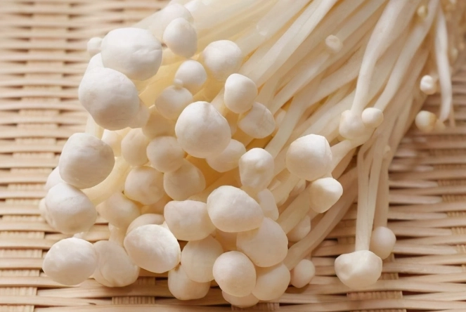 菇類蛋白質含量