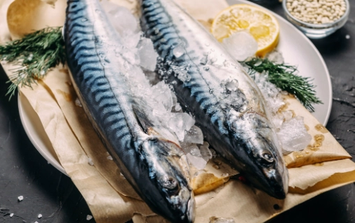 鯖魚蛋白質含量