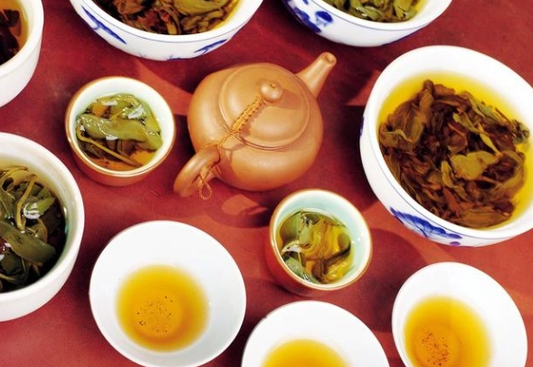 桑寄生茶煮法 桑寄生茶煮法