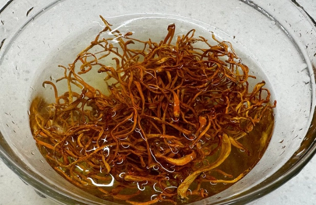 蟲草花功效 蟲草花功效