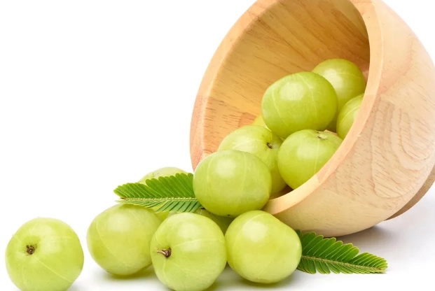 油甘果降血糖 油甘果降血糖