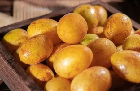 黃皮咳用法 黃皮咳用法