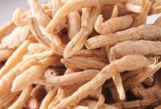 太子參麥冬搭配 太子參麥冬搭配