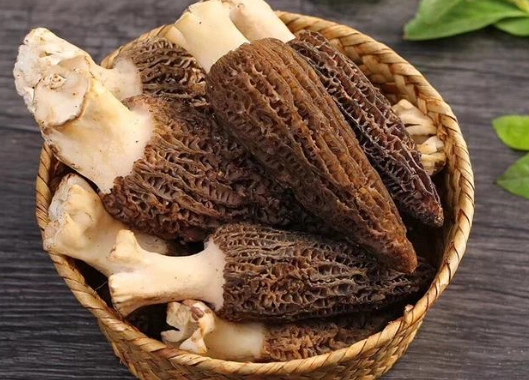 羊肚菌點清潔步驟 羊肚菌點清潔步驟