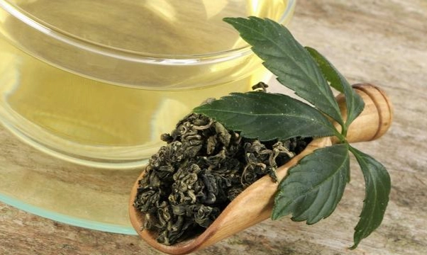 七葉膽禁忌人群 七葉膽禁忌人群