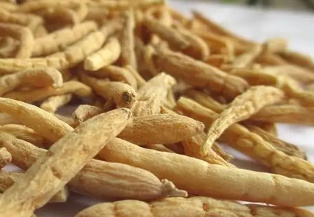 太子參麥冬搭配 太子參麥冬搭配