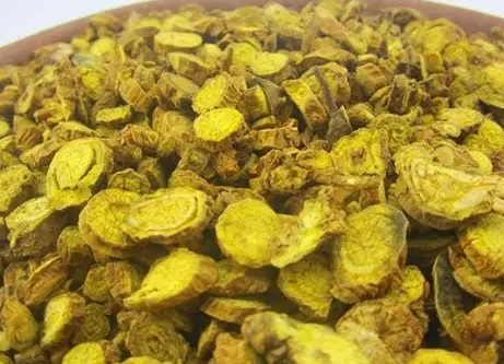 黃芩使用注意事項