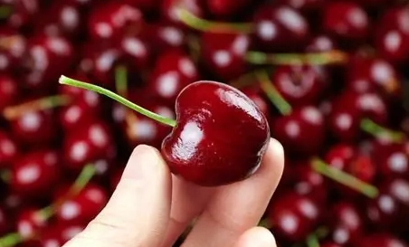 車厘子一天吃多少 車厘子一天吃多少