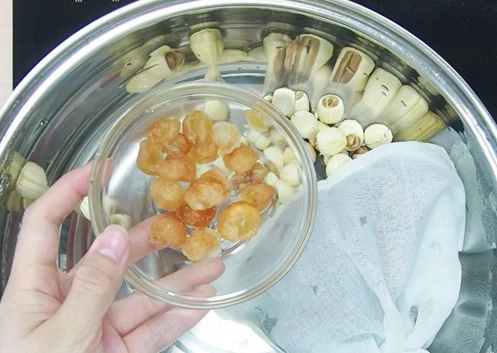 桑寄生茶禁忌 桑寄生茶禁忌