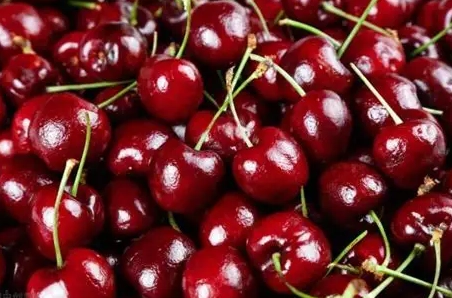 水果消毒技巧 水果消毒技巧