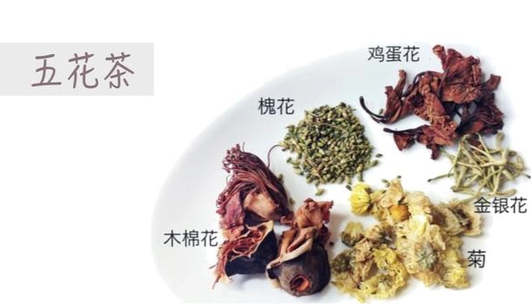 五花茶成分 五花茶成分