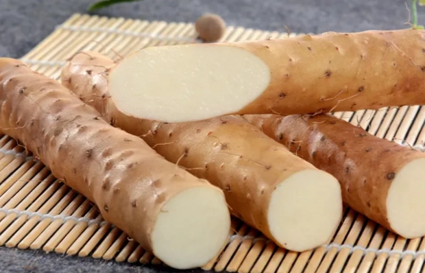 山藥消化問題 山藥消化問題